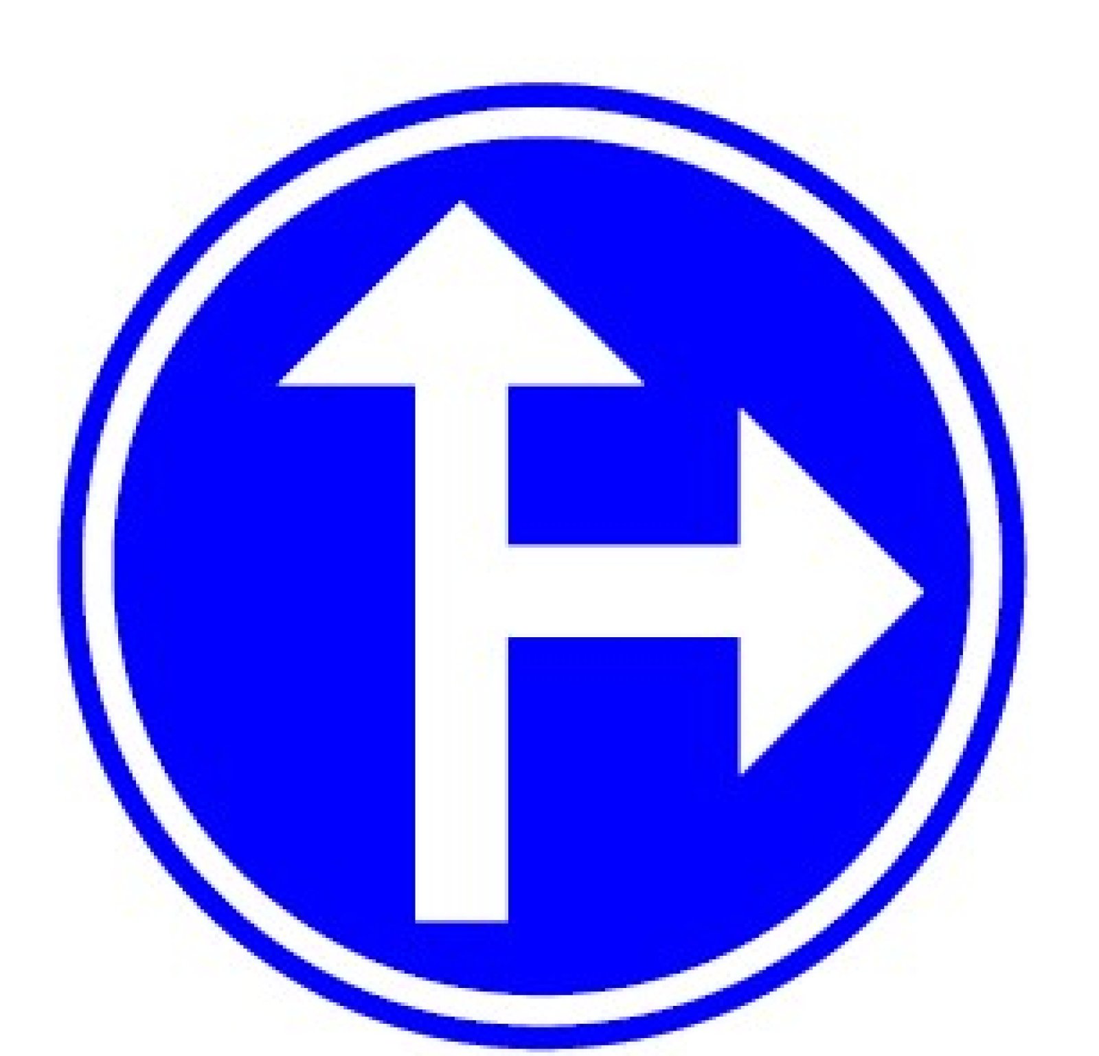 Sign T250 D3b 700 mm